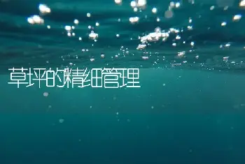 草坪的精细管理