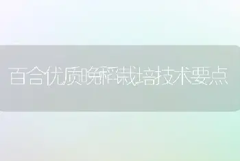 百合优质晚稻栽培技术要点