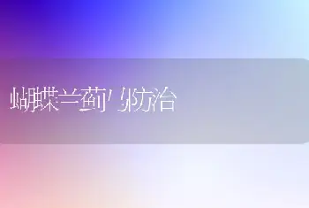 蝴蝶兰蓟马防治