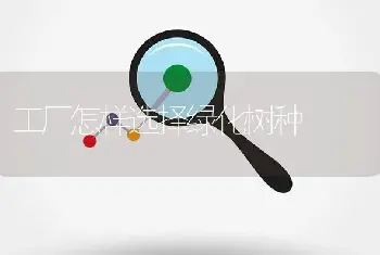 工厂怎样选择绿化树种