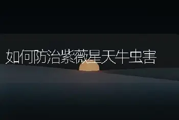 如何防治紫薇星天牛虫害