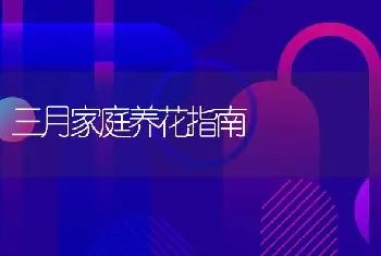 巴西铁树观赏与栽培