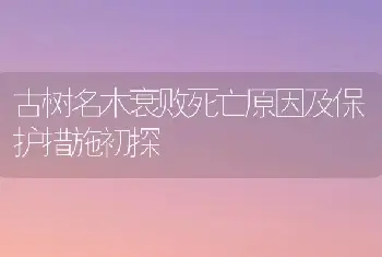 古树名木衰败死亡原因及保护措施初探