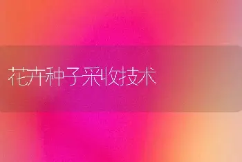 花卉种子采收技术