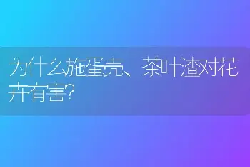 为什么施蛋壳、茶叶渣对花卉有害？