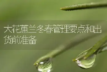 如何使花卉长得紧凑