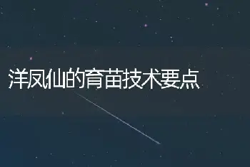 洋凤仙的育苗技术要点