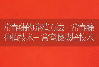 哪些鲜花不宜放置居室