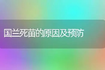 国兰死苗的原因及预防