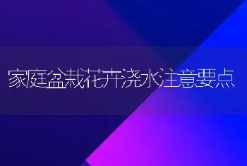 家庭盆栽花卉浇水注意要点