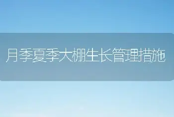 月季夏季大棚生长管理措施