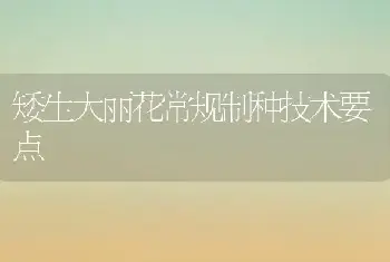 矮生大丽花常规制种技术要点