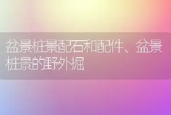 盆景桩景配石和配件、盆景桩景的野外掘