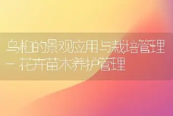 乌桕的景观应用与栽培管理-花卉苗木养护管理