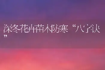 深冬花卉苗木防寒“八字诀”