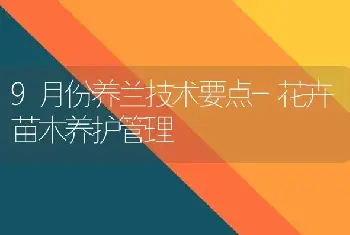 9月份养兰技术要点-花卉苗木养护管理