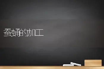 蚕蛹的加工