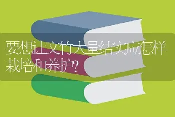 要想让文竹大量结实应怎样栽培和养护?