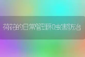 苗木管理中的合理灌水