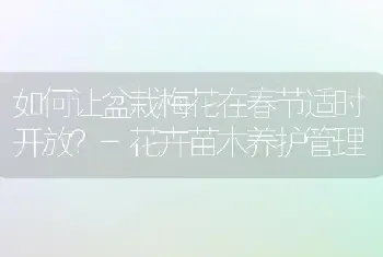 如何让盆栽梅花在春节适时开放？-花卉苗木养护管理