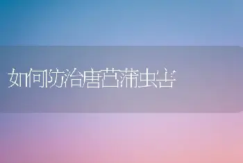 如何防治唐菖蒲虫害