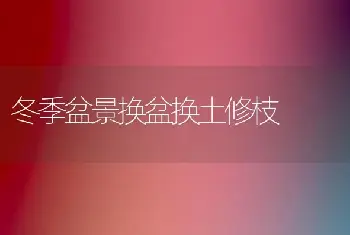 冬季大棚花卉防“五害”