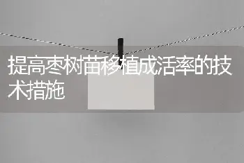 提高枣树苗移植成活率的技术措施