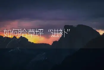 如何给草坪“进补”