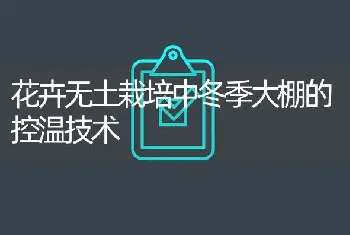 花卉无土栽培中冬季大棚的控温技术