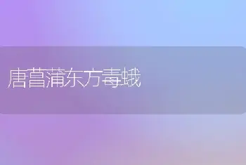 唐菖蒲东方毒蛾