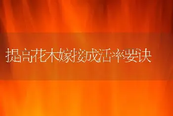 您知道花卉微量元素缺乏症咋防治