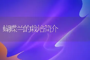 蝴蝶兰的栽培简介