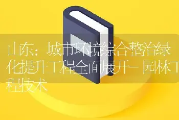 山东：城市环境综合整治绿化提升工程全面展开-园林工程技术