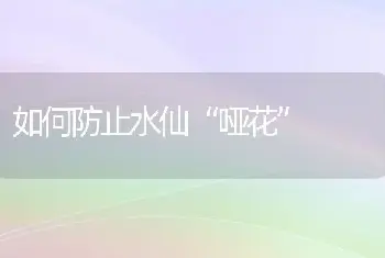 如何防止水仙“哑花”