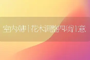 室内观叶花木调整四项注意