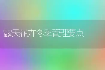 露天花卉冬季管理要点