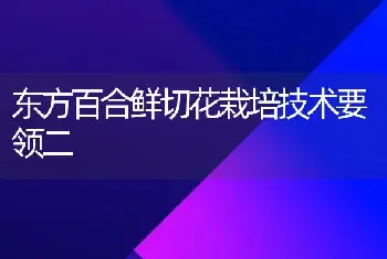 东方百合鲜切花栽培技术要领二