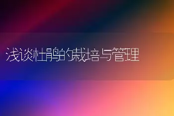 浅谈杜鹃的栽培与管理