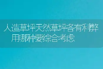 人造草坪天然草坪各有利弊 用哪种要综合考虑