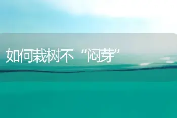 如何栽树不“闷芽”