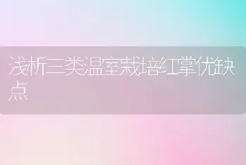 沙田柚、柑橙的管护