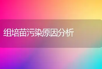 组培苗污染原因分析