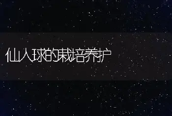 仙人球的栽培养护