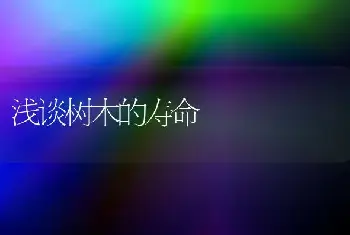 浅谈树木的寿命