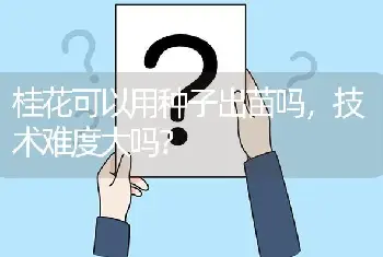 桂花可以用种子出苗吗，技术难度大吗？