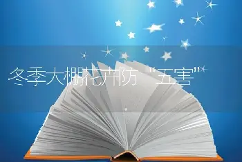 冬季大棚花卉防“五害”