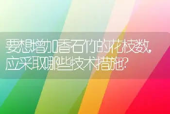 要想增加香石竹的花枝数，应采取哪些技术措施?