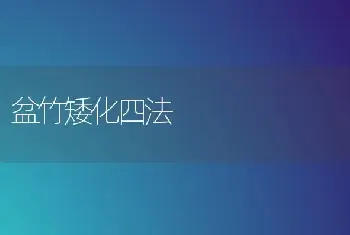 盆竹矮化四法