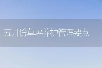 五月份草坪养护管理要点