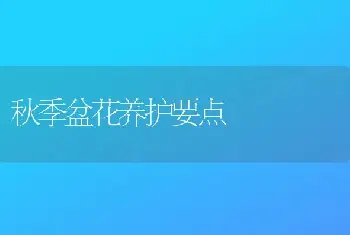 秋季盆花养护要点